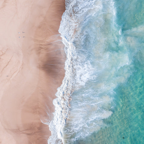 COASTAL LIVING