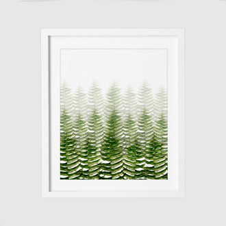 FERN FOREST - HUNTER & CO.