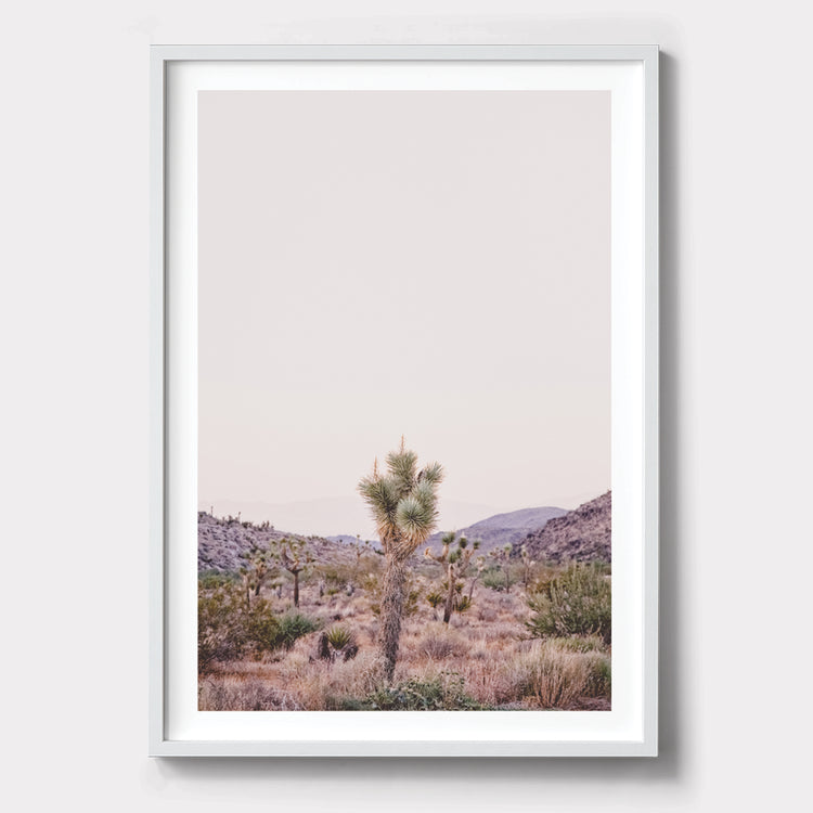 JOSHUA TREE ART PRINT
