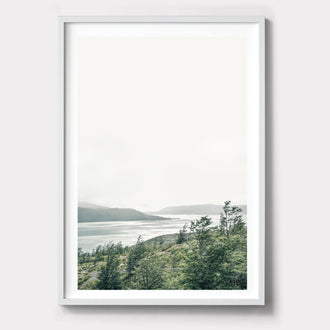WINDSWEPT ART PRINT