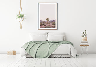JOSHUA TREE - HUNTER & CO.