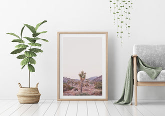 JOSHUA TREE - HUNTER & CO.