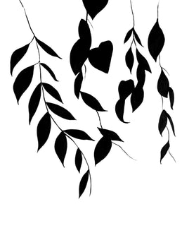 SWAYING SOFTLY - HUNTER & CO.