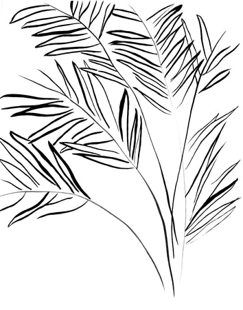 THE PALMS - HUNTER & CO.