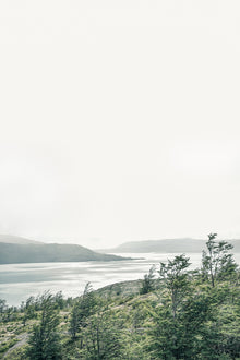 WINDSWEPT ART PRINT