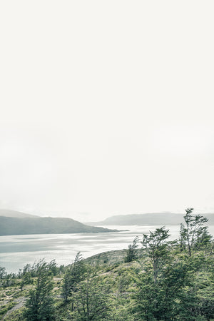 WINDSWEPT ART PRINT